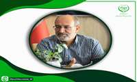 زیره سبز، محور توسعه کشاورزی کم‌آب در استان است
